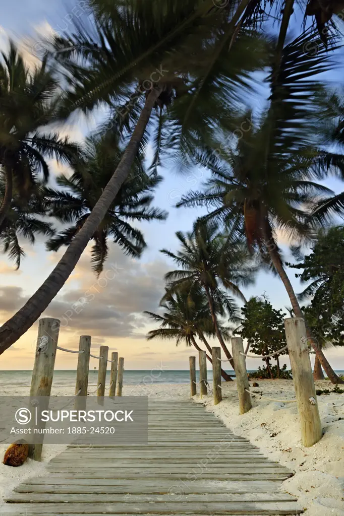 USA, Florida, Key West, Smathers Beach at dawn