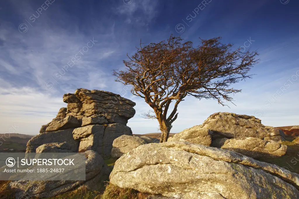 UK - England, Devon, Dartmoor National Park, Saddle Tor at dusk