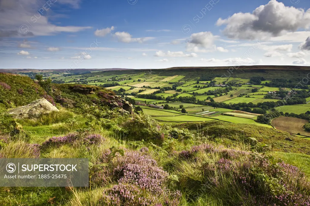 UK - England, Yorkshire, Danbydale, View over the North York Moors