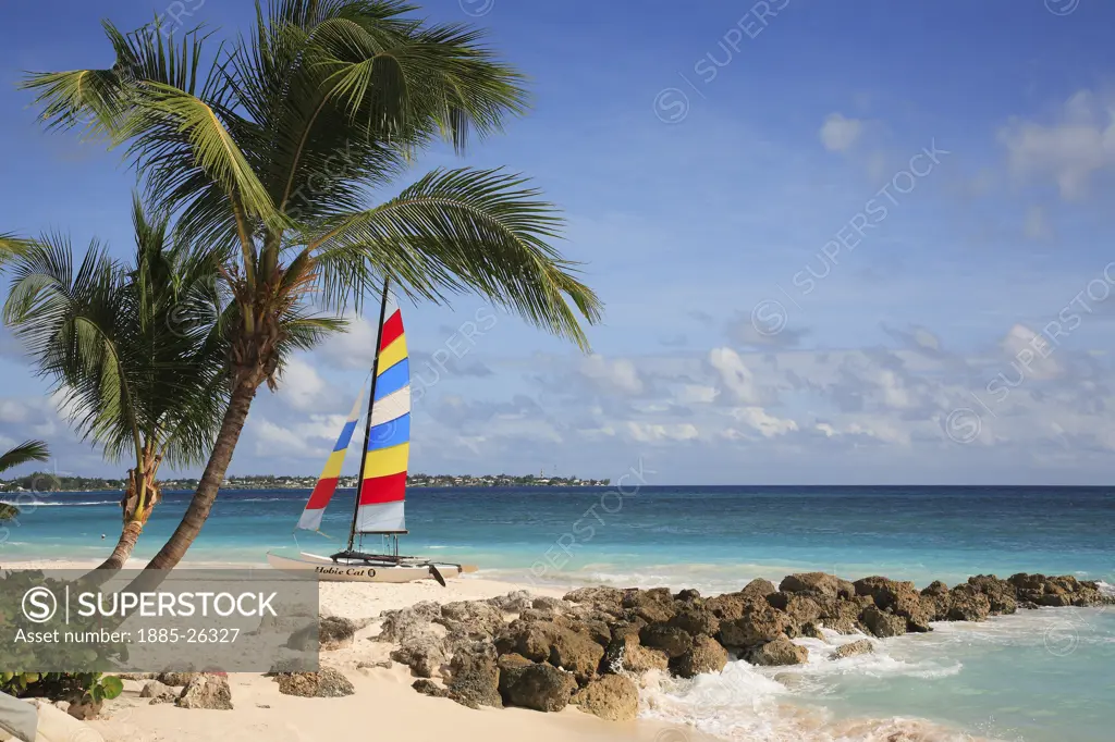 Caribbean, Barbados, Dover Beach, Beach scene with Hobie Cat
