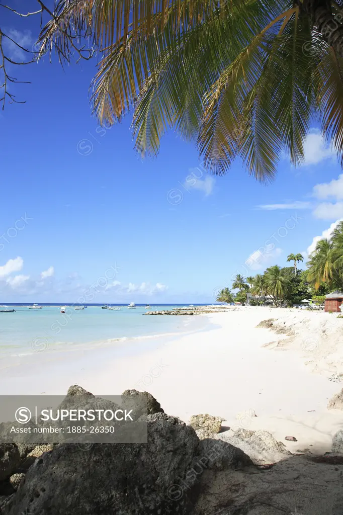 Caribbean, Barbados, Worthing Beach, Beach scene