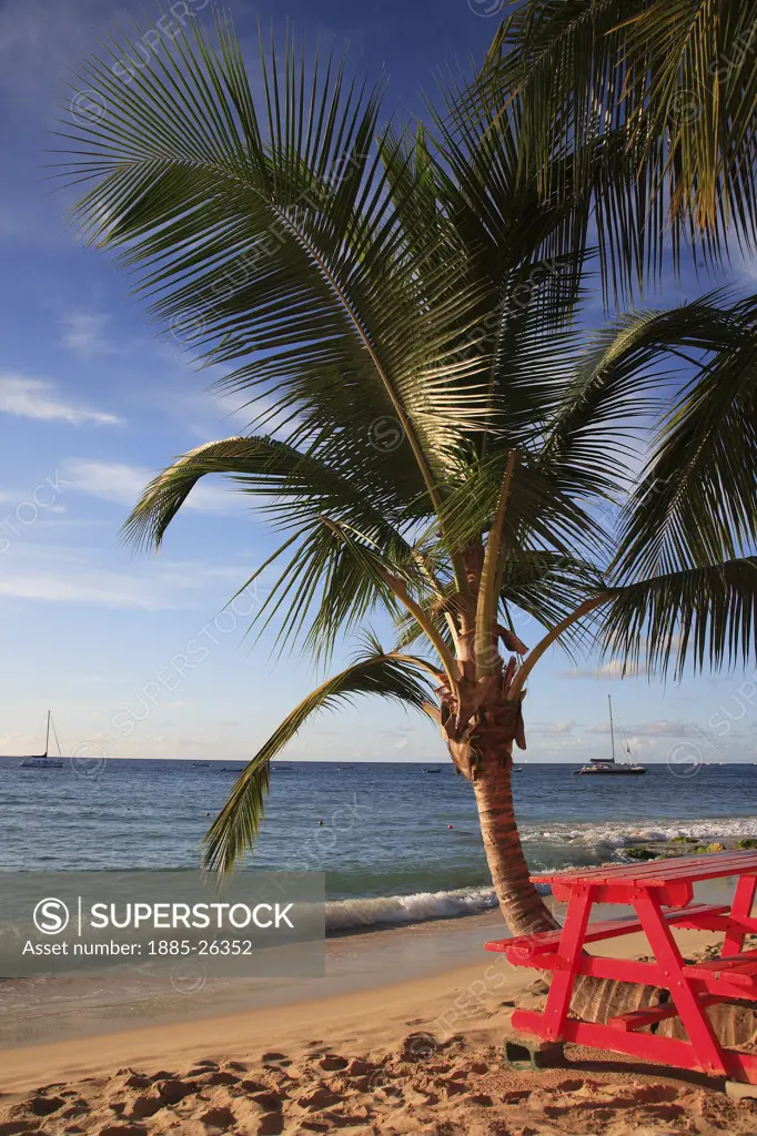 Caribbean, Barbados, St Peter, Beach scene