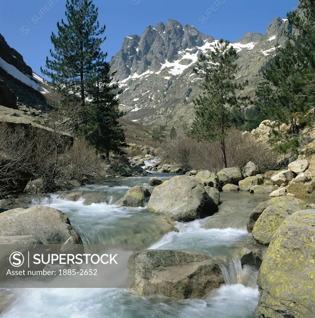 France, Corsica, Restonica Gorge, Wide, rushing stream with boulders,  with pine trees & snowy mountain