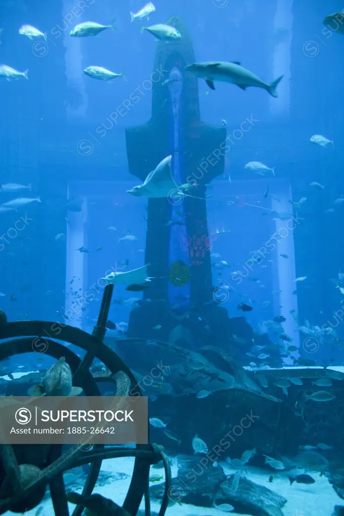 United Arab Emirates, Dubai, The Aquarium at  the Atlantis Palm Jumeirah Hotel