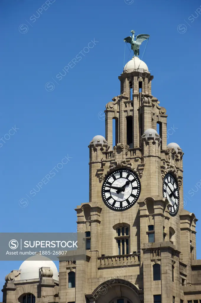 UK - England, Merseyside, Liverpool, Royal Liver Building - close up of tower