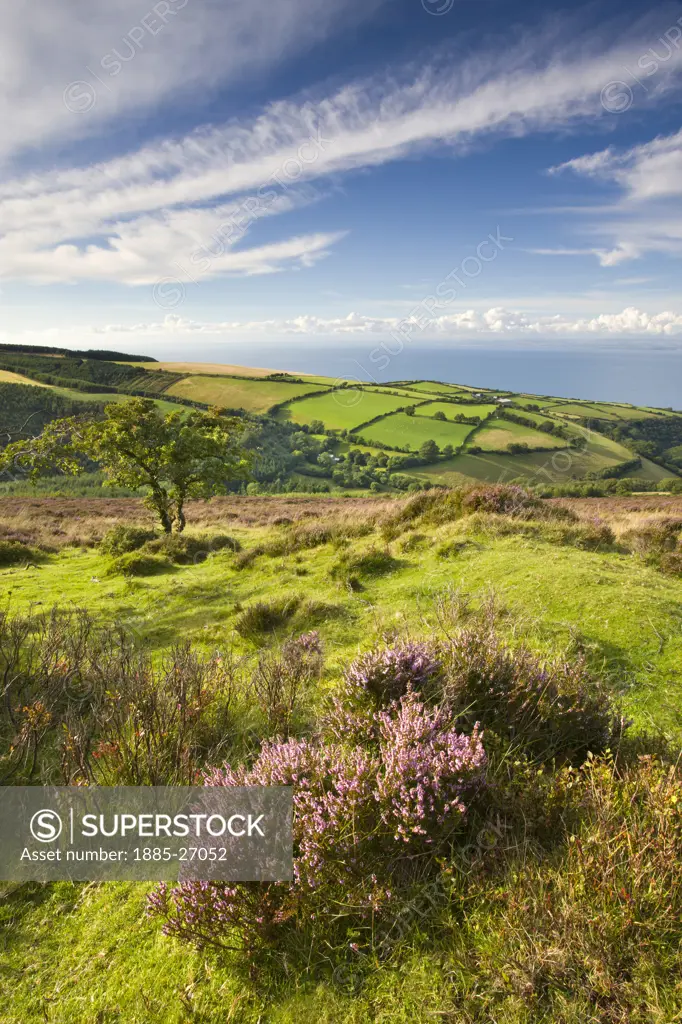 UK - England, Devon, Exmoor, View over countryside and coast in summer
