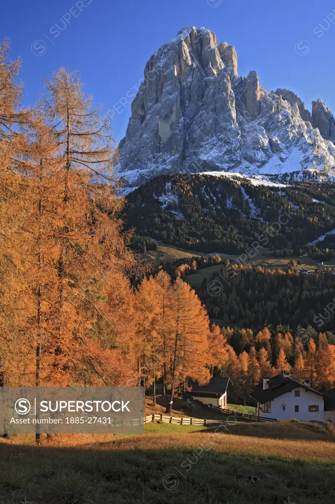 Italy, Italian Dolomites, Val Gardena, Larch trees and Sasso Lungo in autumn