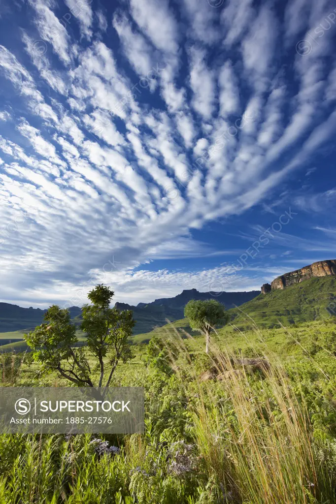 South Africa, KwaZulu Natal, Royal Natal National Park, Drakensberg Mountains - the Amphitheatre