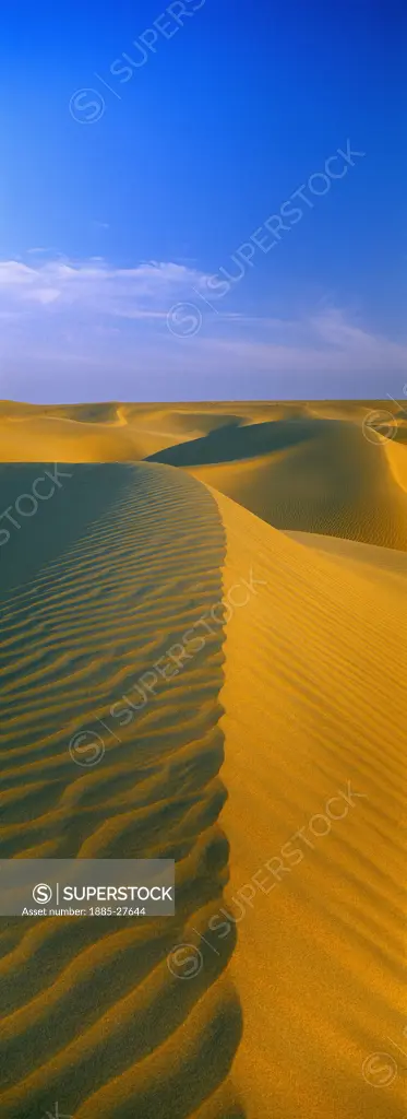 India, Rajasthan, Jaisalmer, Great Thar Desert - Sam Sand Dunes