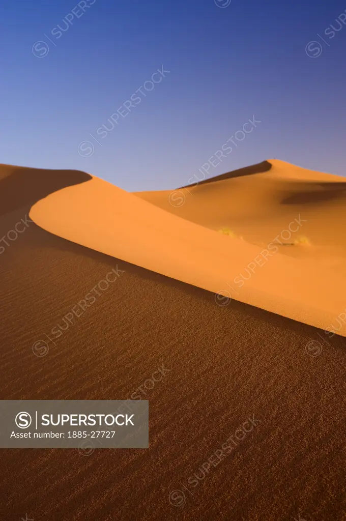 Morocco, Merzouga, Erg Chebbi sand dune