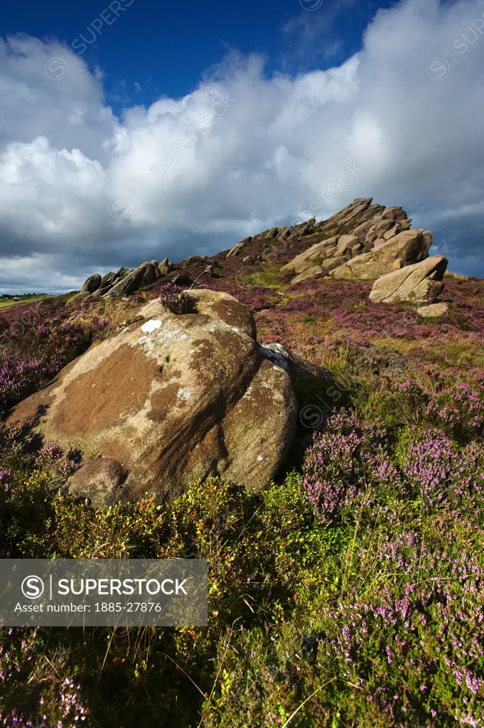 UK - England, Staffordshire, Peak District National Park, Ramshaw Rocks