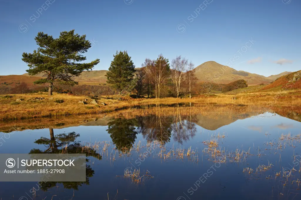 UK - England, Cumbria, Lake District National Park, Kelly Hall Tarn with reflections in autumn