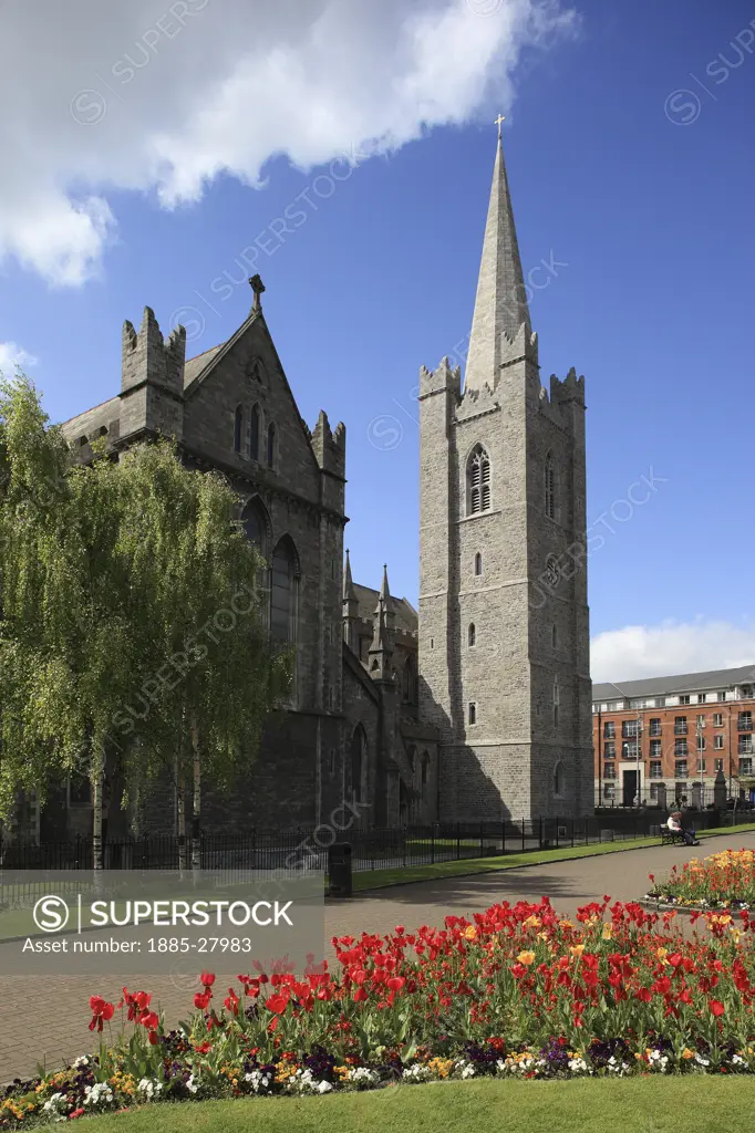Ireland, County Dublin, Dublin, St Patricks Cathedral in spring