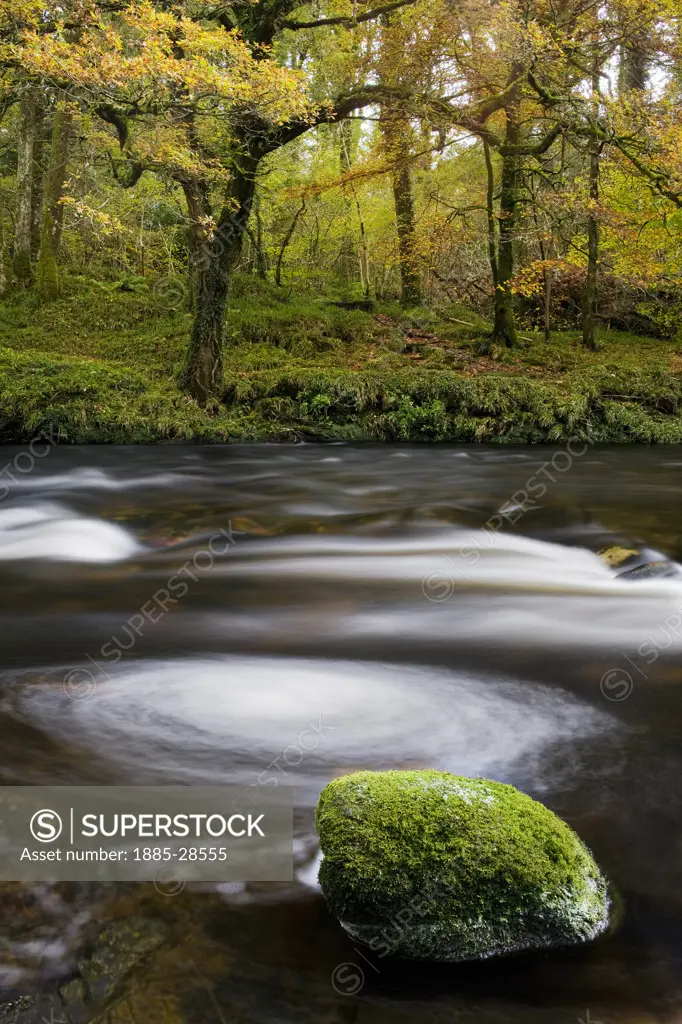 UK - England, Devon, Dartmoor, Autumn on the River Dart