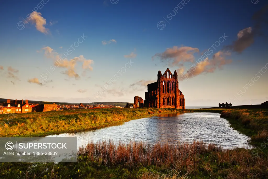 UK - England, Yorkshire, Whitby, Whitby Abbey at dawn in summer