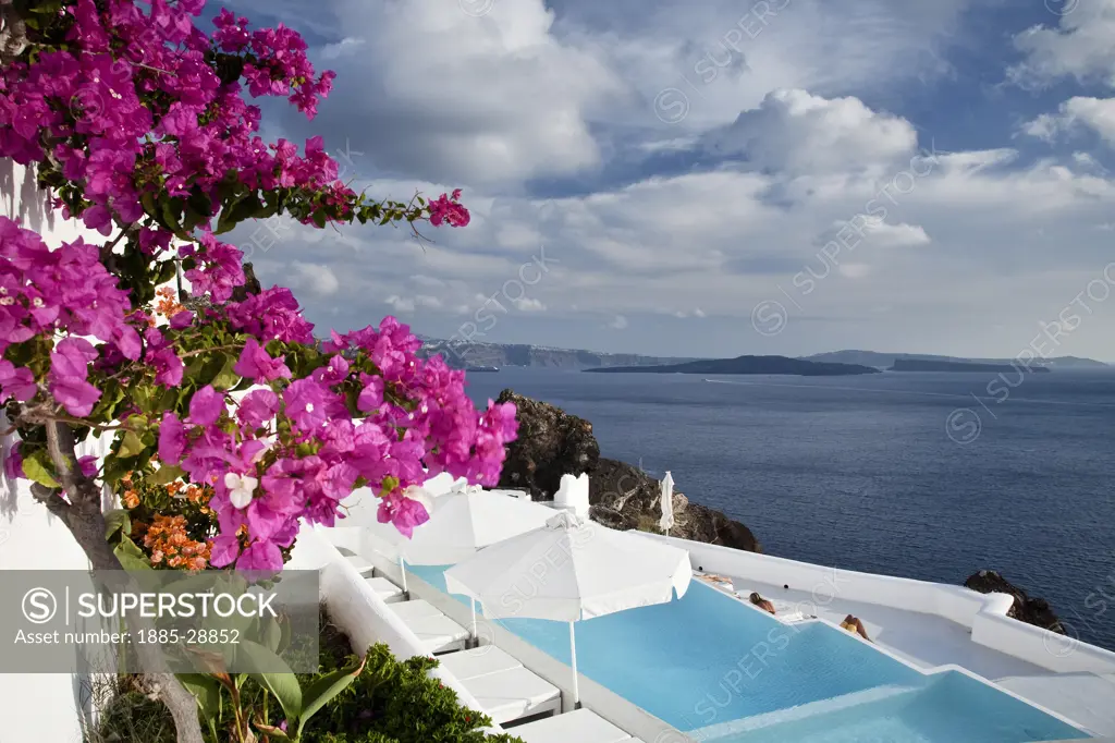 Greek Islands, Santorini Island, Oia, Clifftop swimming pool and pink flowers