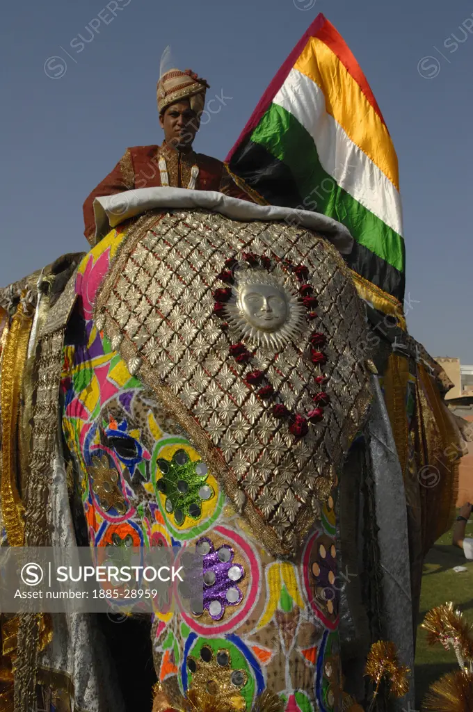 India, Rajasthan, Jaipur, Colourful elephant with rider at the Jaipur Elephant Festival