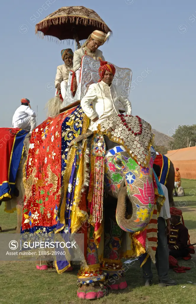 India, Rajasthan, Jaipur, Colourful elephant with riders at the Jaipur Elephant Festival