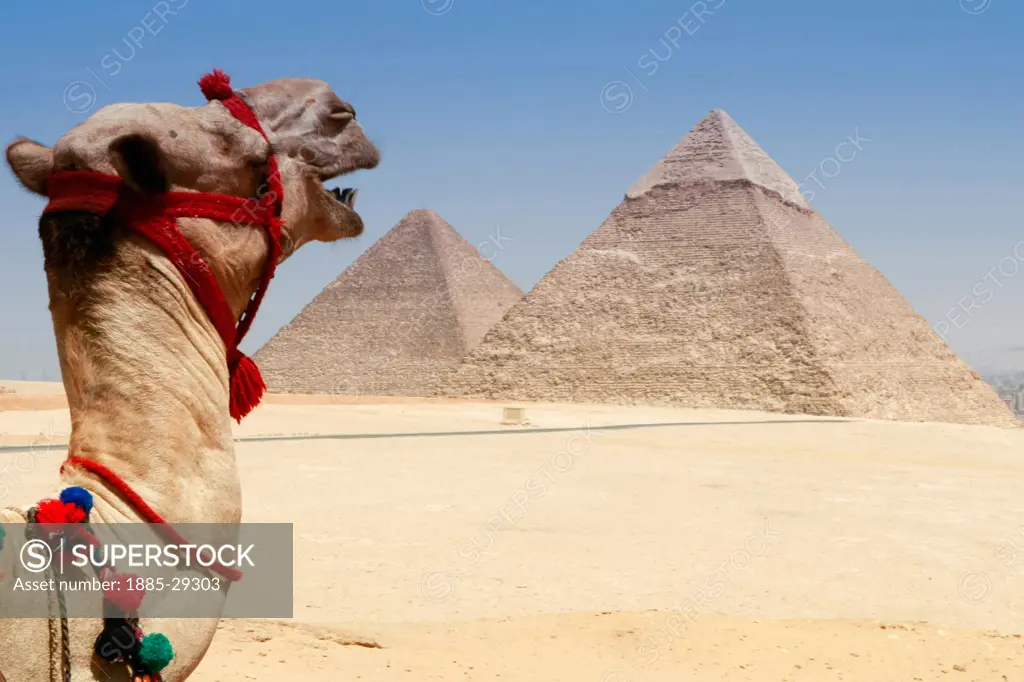 Egypt, Giza, Pyramids of Giza