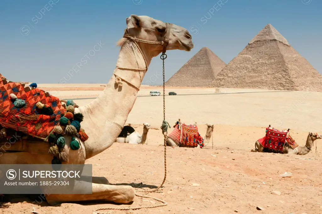 Egypt, Giza, The Pyramids of Giza