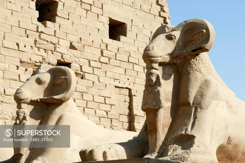 Egypt, Luxor, Statues at Karnak Temple