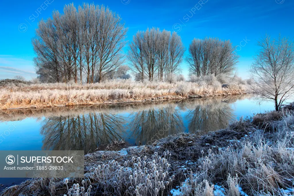 Hoare frost winter scene, river Welland, Peakirk village, Cambridgeshire, England; Britain; UK
