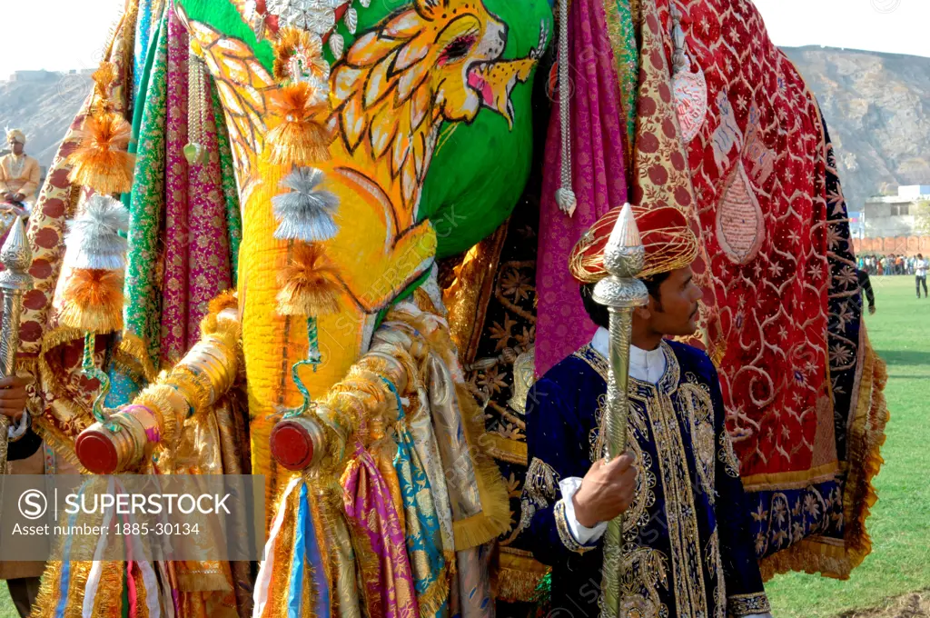 Costumed participants in the Elephant Festival of Jaipur