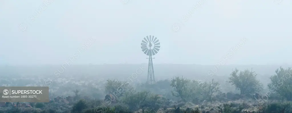 Africa, South Africa, Great Karoo. westernmill in fog on a farm for pumping out water, cattle watering place.  Afrika, Suedafrika, Grosse Karoo. Western-Windrad im Nebel auf einer Farm zum Wasser pumpen, Viehtraenke.
