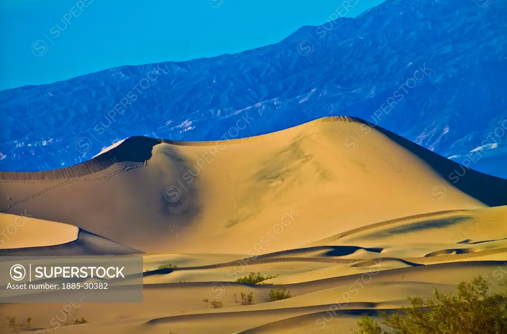 Star Dune is the Tallest of Mesquite Flat Sand Dunes With The Kit Fox Hills and the Armagosa Mountain Range in the Distance, Death Valley National Park, California, USA