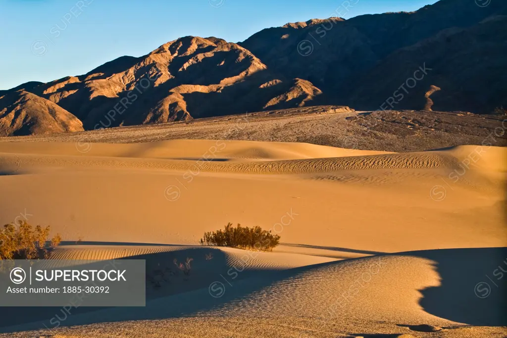 The Mesquite Flat Sand Dunes and Tucki Mountain, Death Valley National Park, California, USA