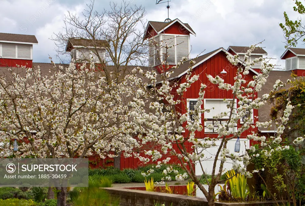 The Red Barn at The Frog's Leap Winery in Rutherford, Napa Valley, California, USA