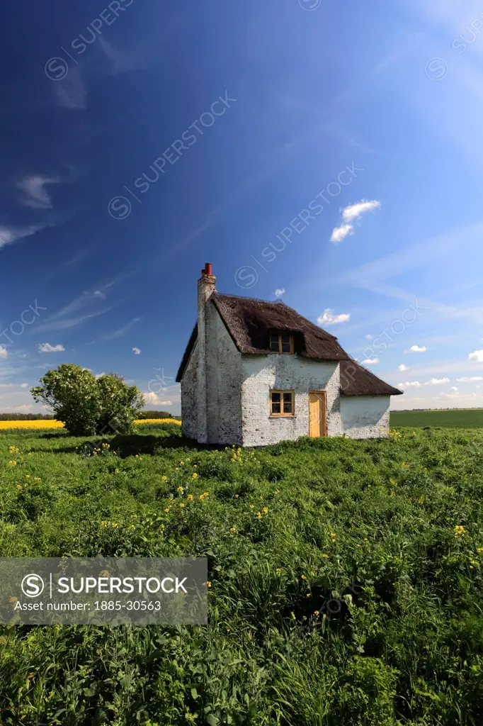 Isolated Fenland Cottage near Wisbech town, Fenland, Cambridgeshire, England; Britain; UK