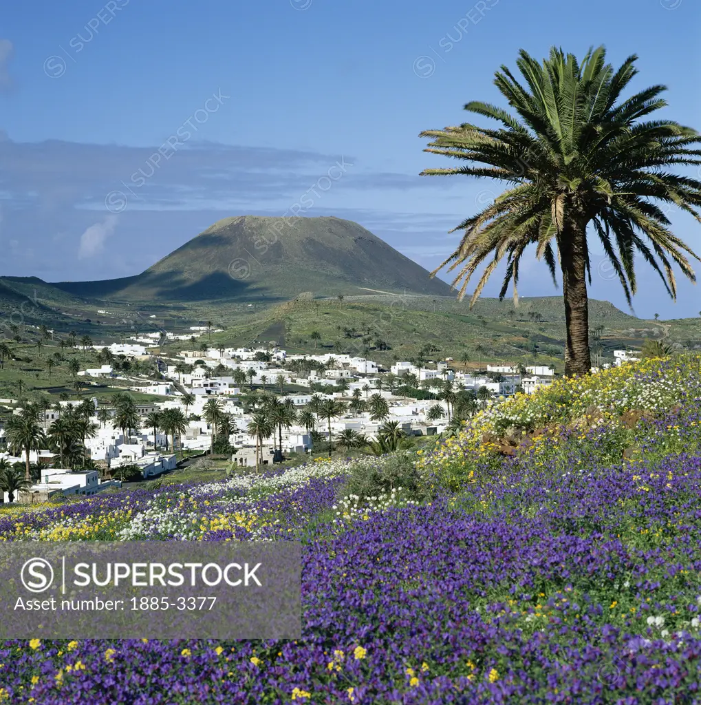 Canary Islands, Lanzarote, Haria, Panoramic Town View