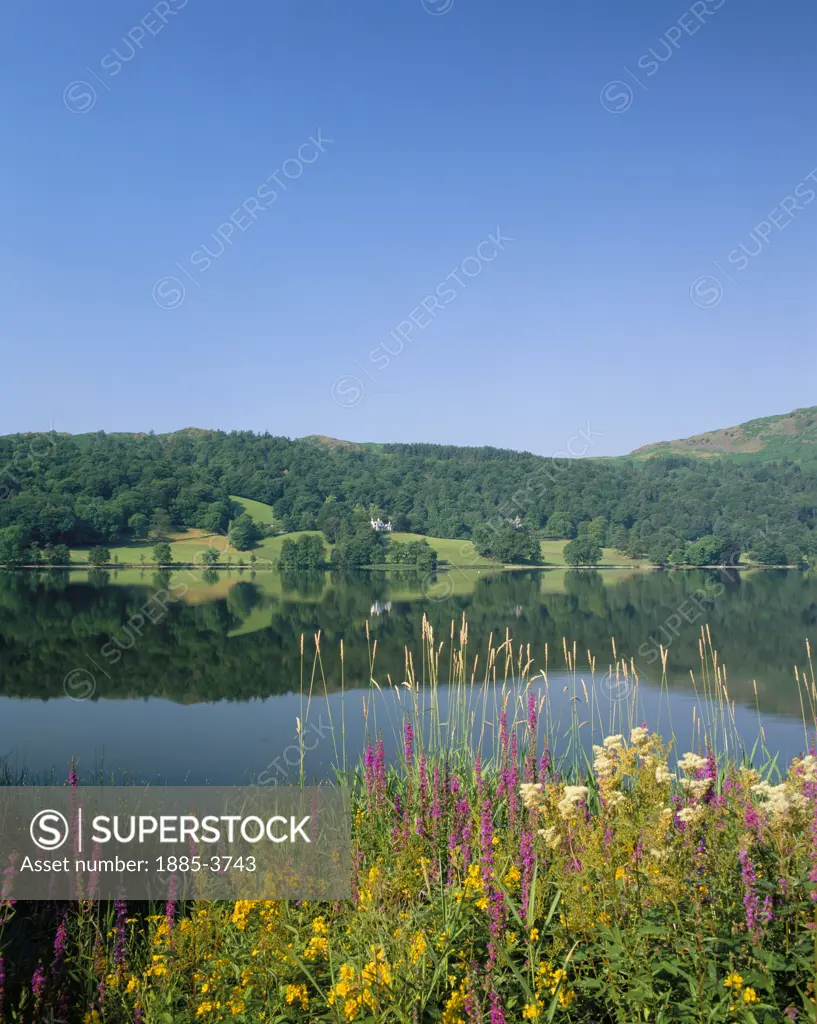 UK - England, Cumbria , Grasmere, View over Lake with colourful wild flowers