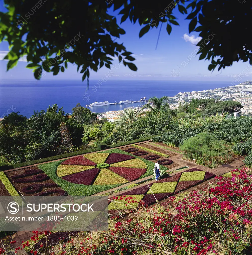 Portugal, Madeira, Funchal, Botanical Gardens