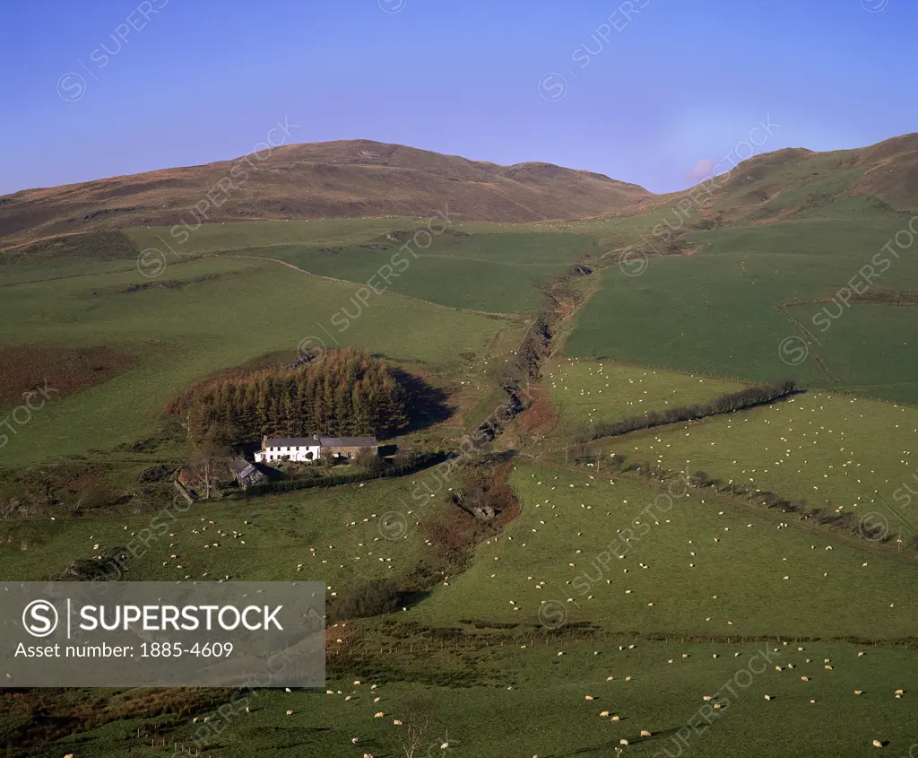 UK - Wales, Powys, Moelwyn Mountains Nr. Talybont, Hill Farm
