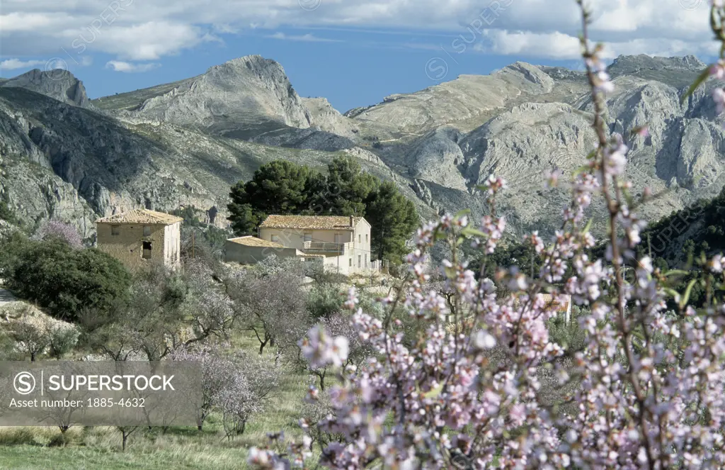 Spain, Costa Blanca, Guadalest Valley (Nr Benidorm), View of Valley & Almond Blossom