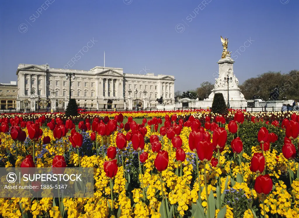 UK - England, , London, Buckingham Palace