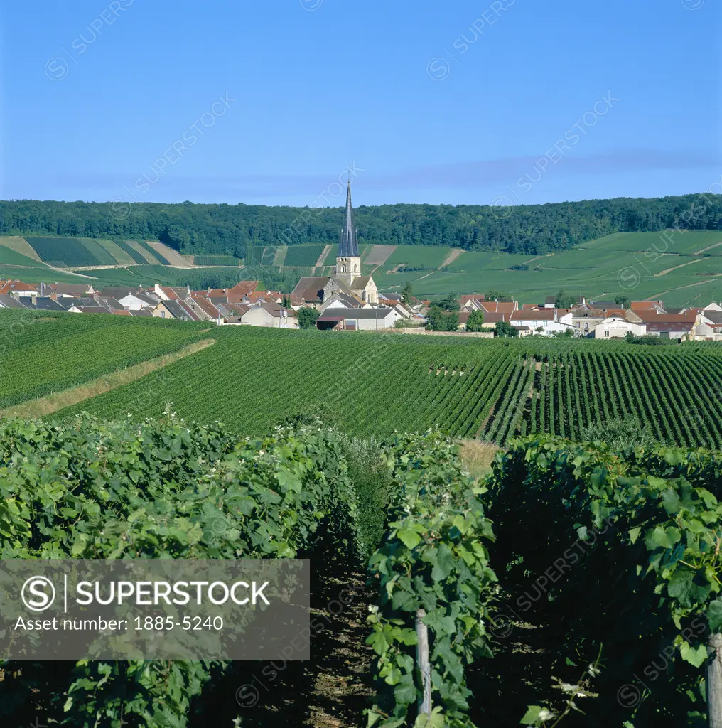 France, Champagne & The Ardennes, Villers Aux Noeuds (Near Reims), View of Vineyards & Village