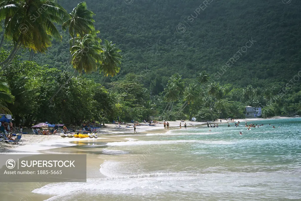 Caribbean, Tortola , Cane Garden Bay, Beach Scene