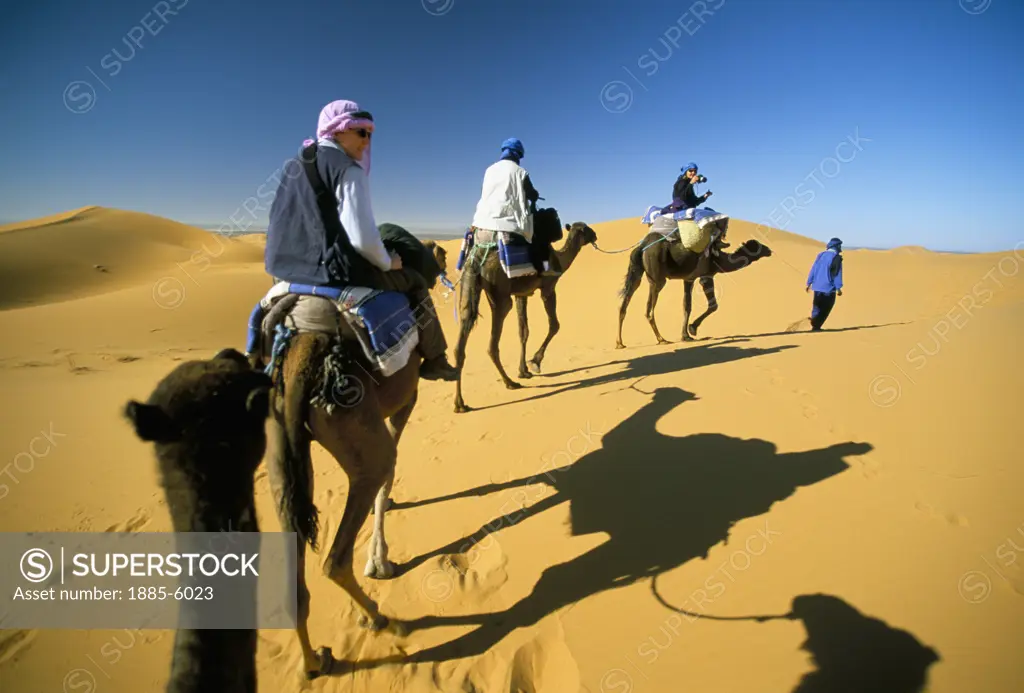 Morocco, , General, Camels with Riders