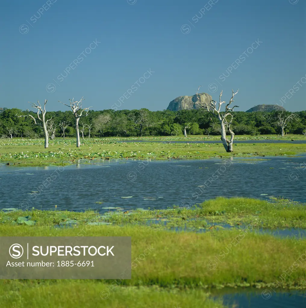 Sri Lanka, , Yala National Park, Park Scene