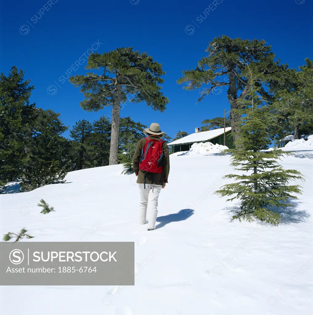 Cyprus, South, Troodos Mountains, Hiker in Snow