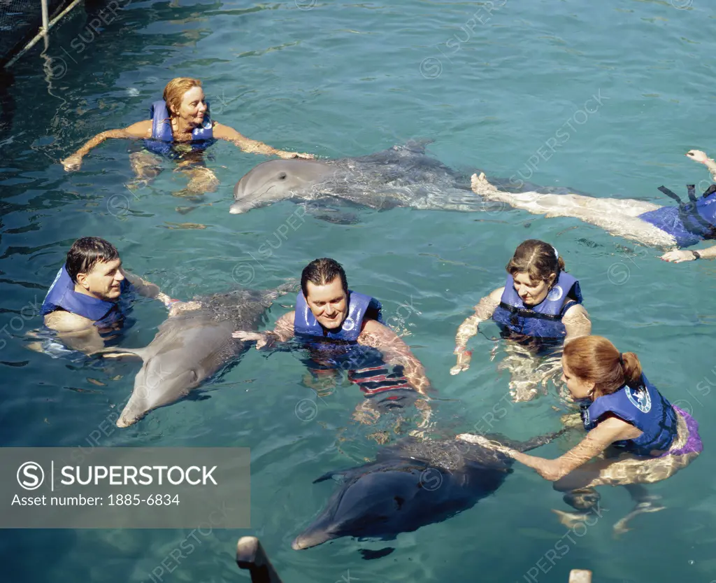 Mexico, Quintana Roo, Xcaret, Swimmers and Dolphins