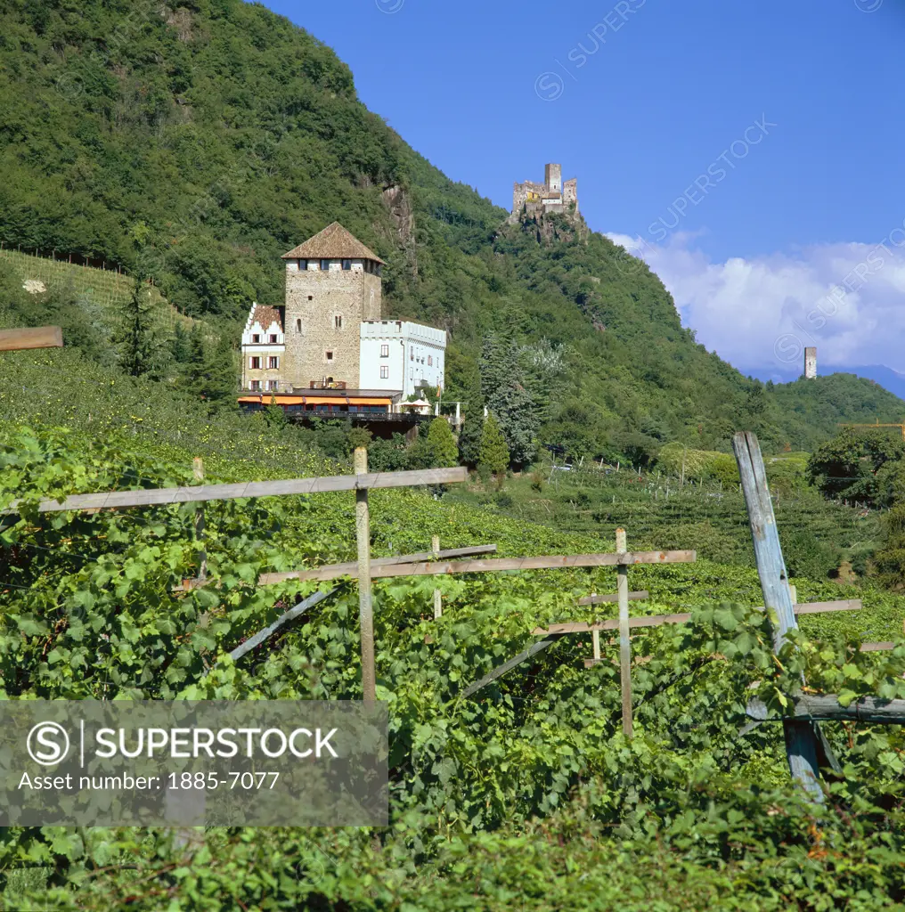 Italy, Trentino-Alto Adige, Oltradige, View over Vineyards Towards Castle Kors