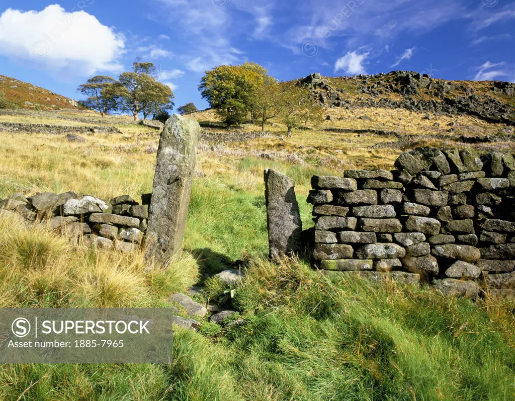 UK - England, Derbyshire , Baslow Edge National Park, Moorland with Dry Stone Wall (autumn)