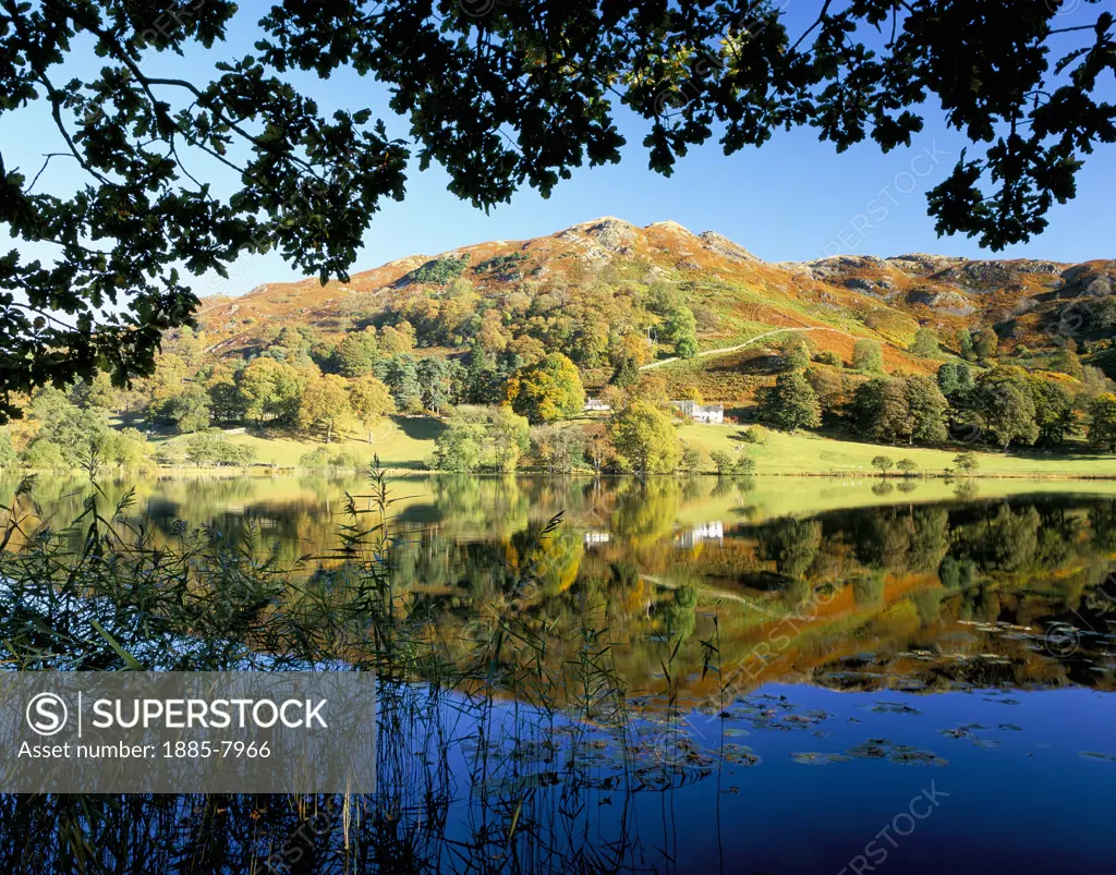 UK - England, Cumbria, Loughrigg Tarn, Autumnal Lake Scene