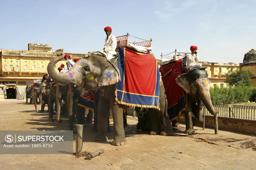 INDIA, RAJASTHAN, JAIPUR, ELEPHANTS AT THE JALEB CHOWK - AMBER FORT