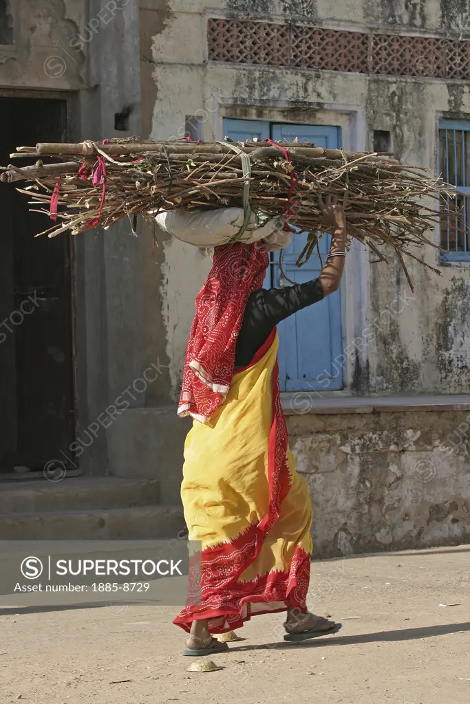 India, Rajasthan, Pushkar, Woman carrying wood