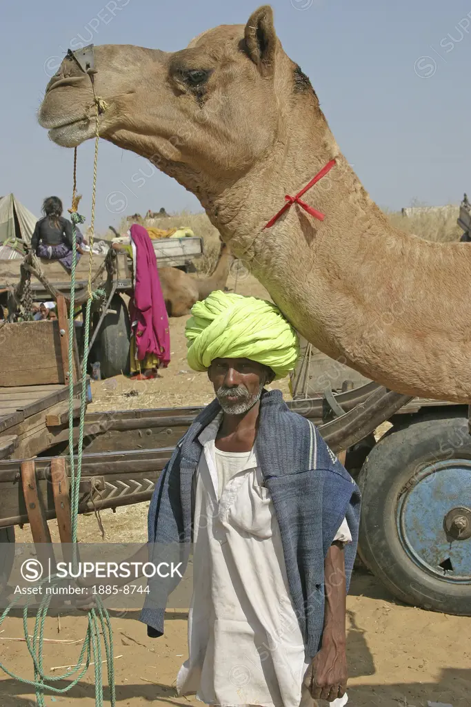 India, Rajasthan, General - people, A Rajasthani man with a camel